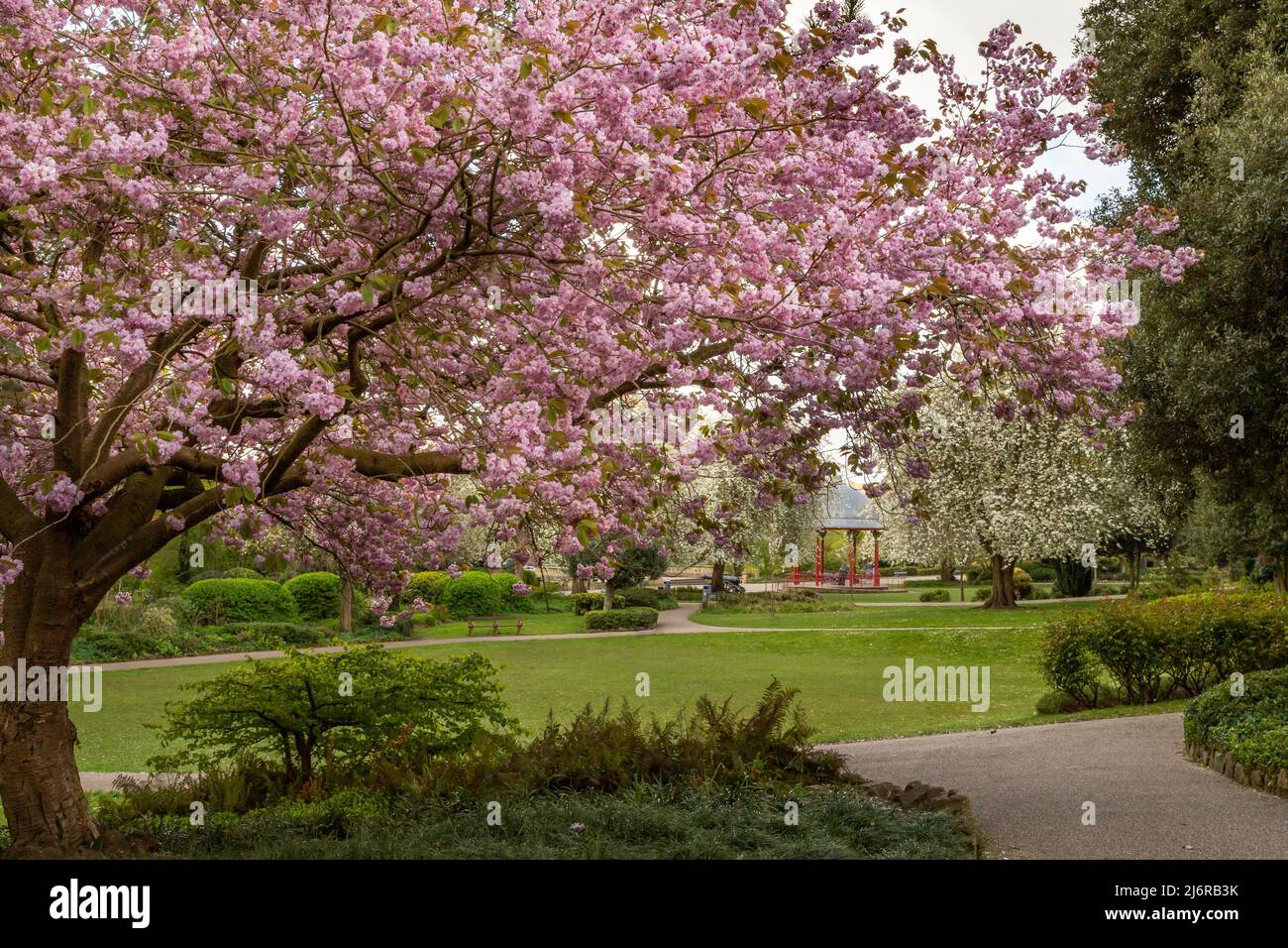 Spring blossom in Roberts Park, Baildon, Yorkshire, England. The park is a Grade ll listed park on the English Heritage Register of Parks and Gardens. Stock Photo