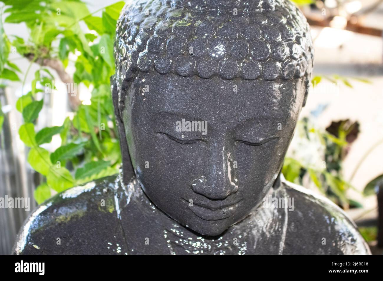 Closeup of wet face of buddha in yard water fountain with blurred plants in background Stock Photo