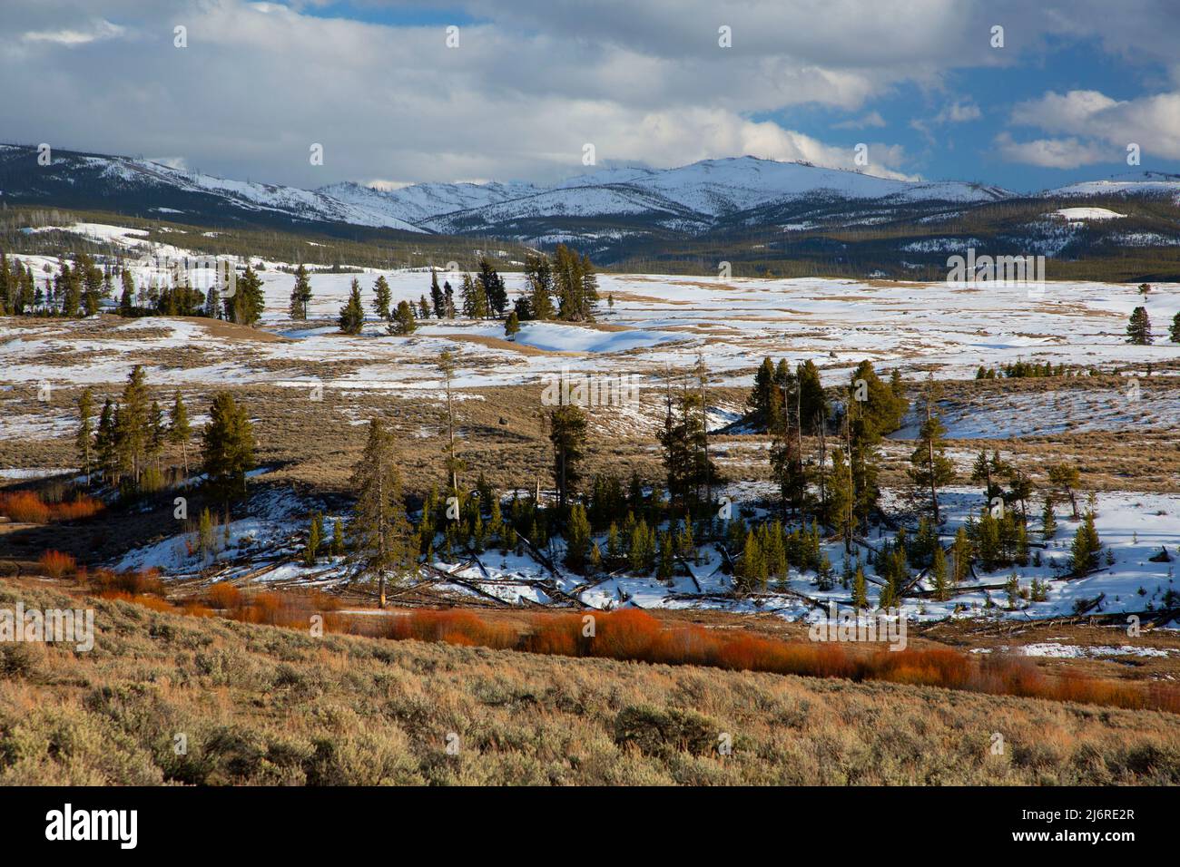 Blacktail plateau hires stock photography and images Alamy