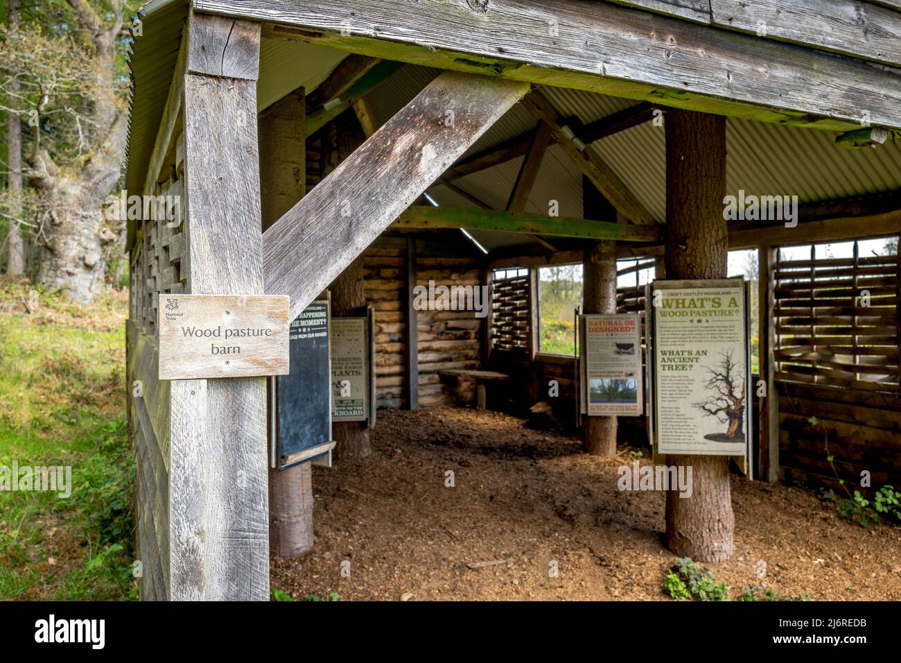 Wood Pasture barn, an information and education oak timber hut on the