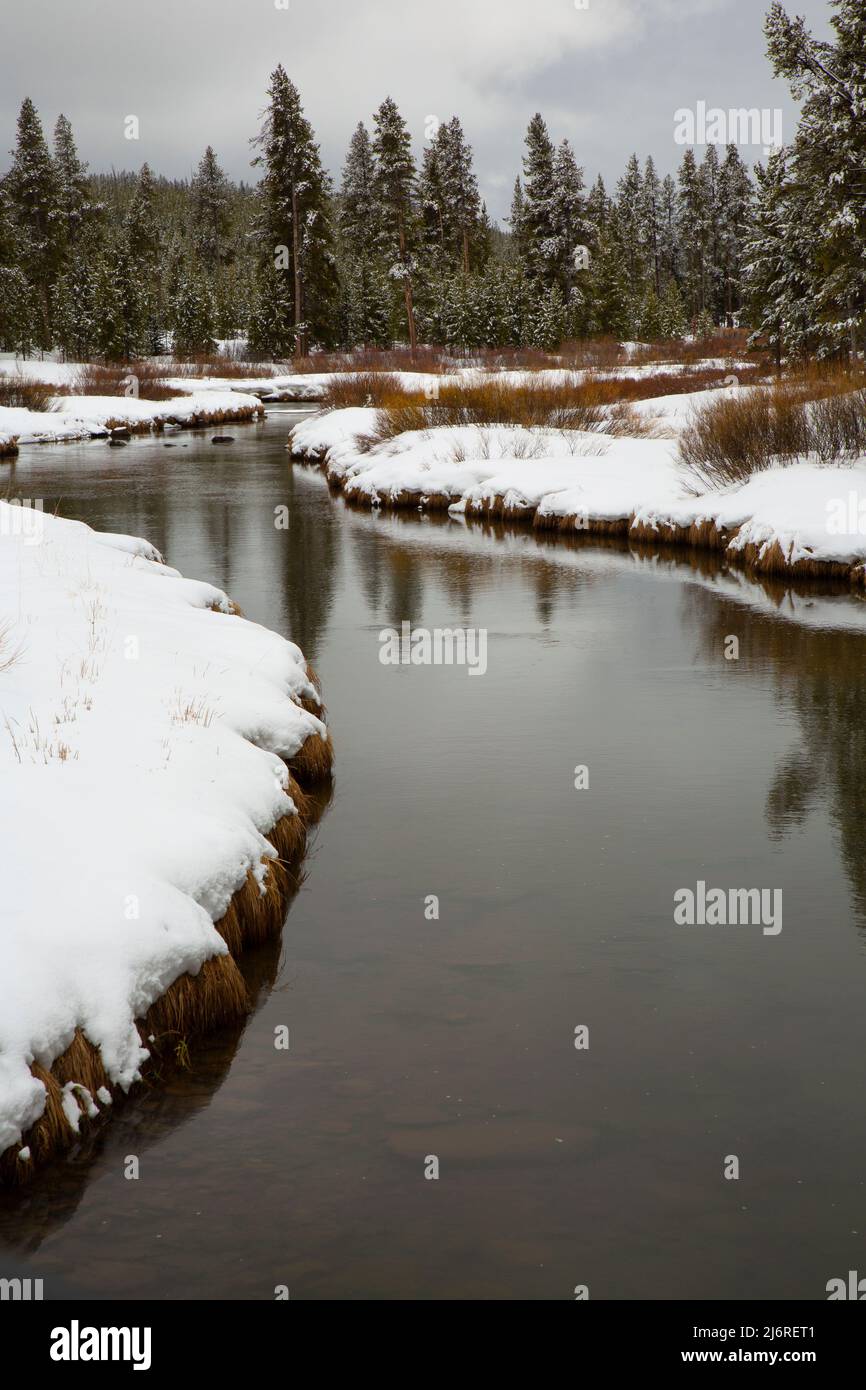 Obsidian Creek, Yellowstone National Park, Wyoming Stock Photo