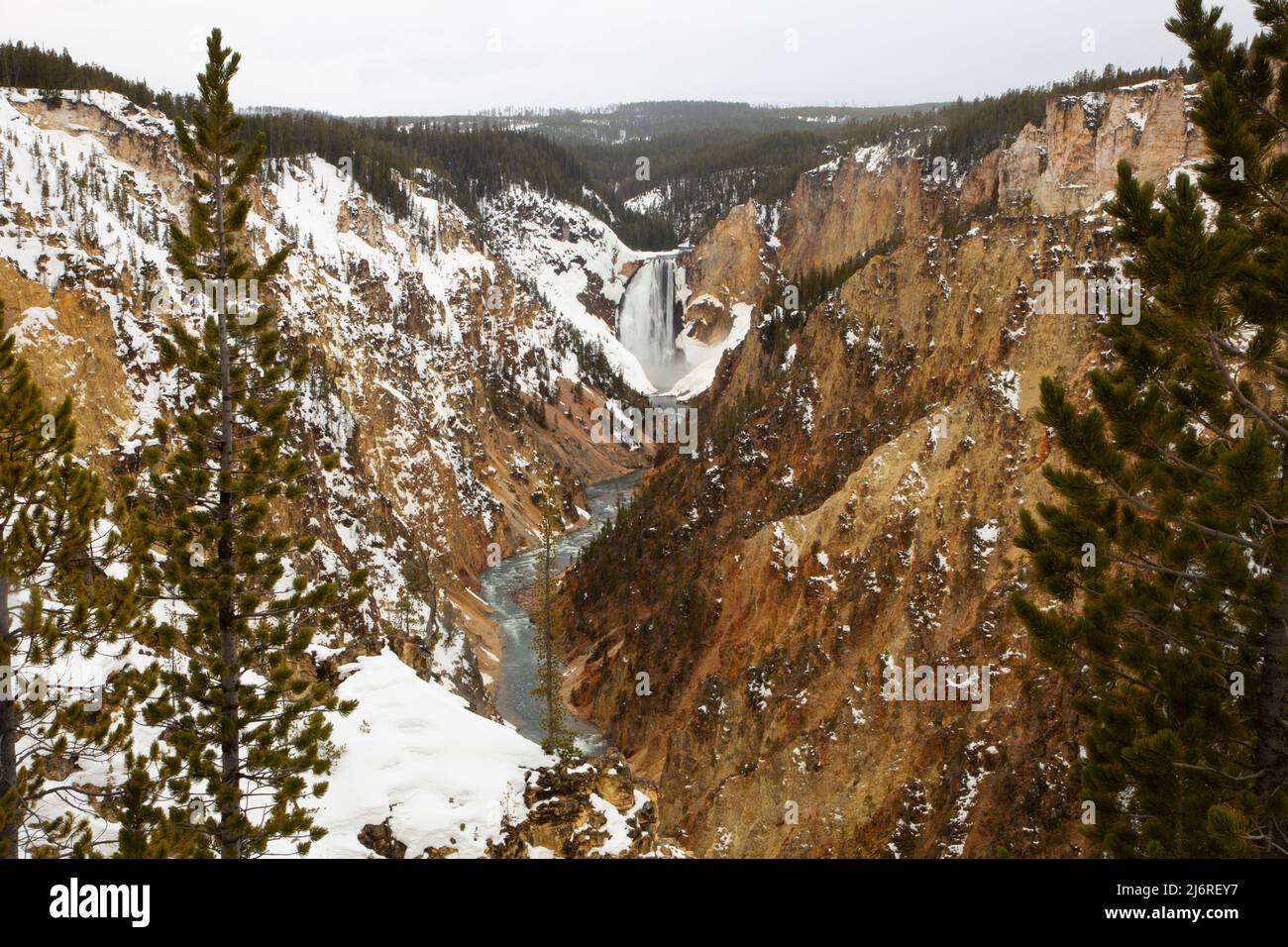 Lower Yellowstone Falls from Artist Point, Yellowstone National Park, Wyoming Stock Photo
