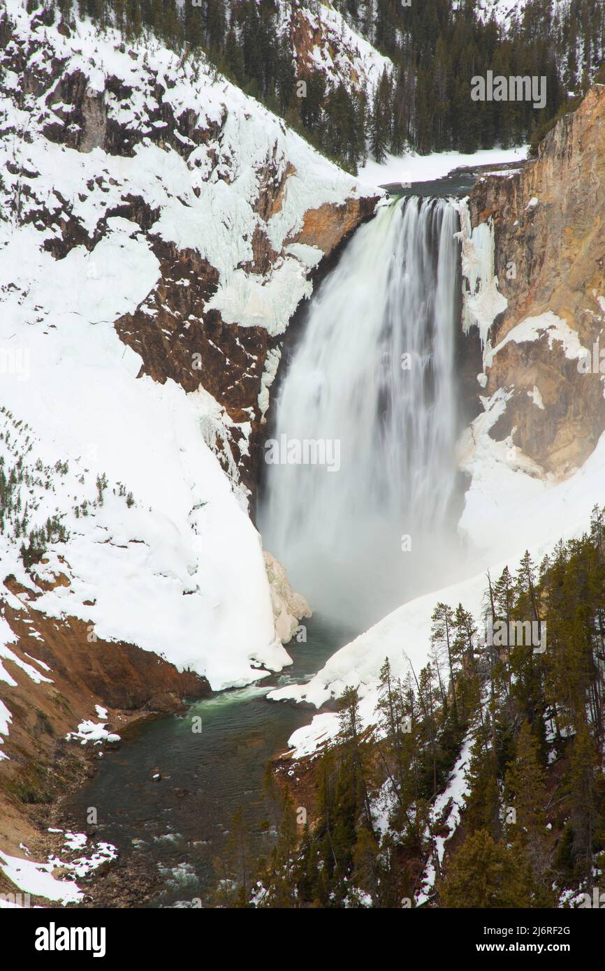 Lower Yellowstone Falls from Lookout Point, Yellowstone National Park, Wyoming Stock Photo