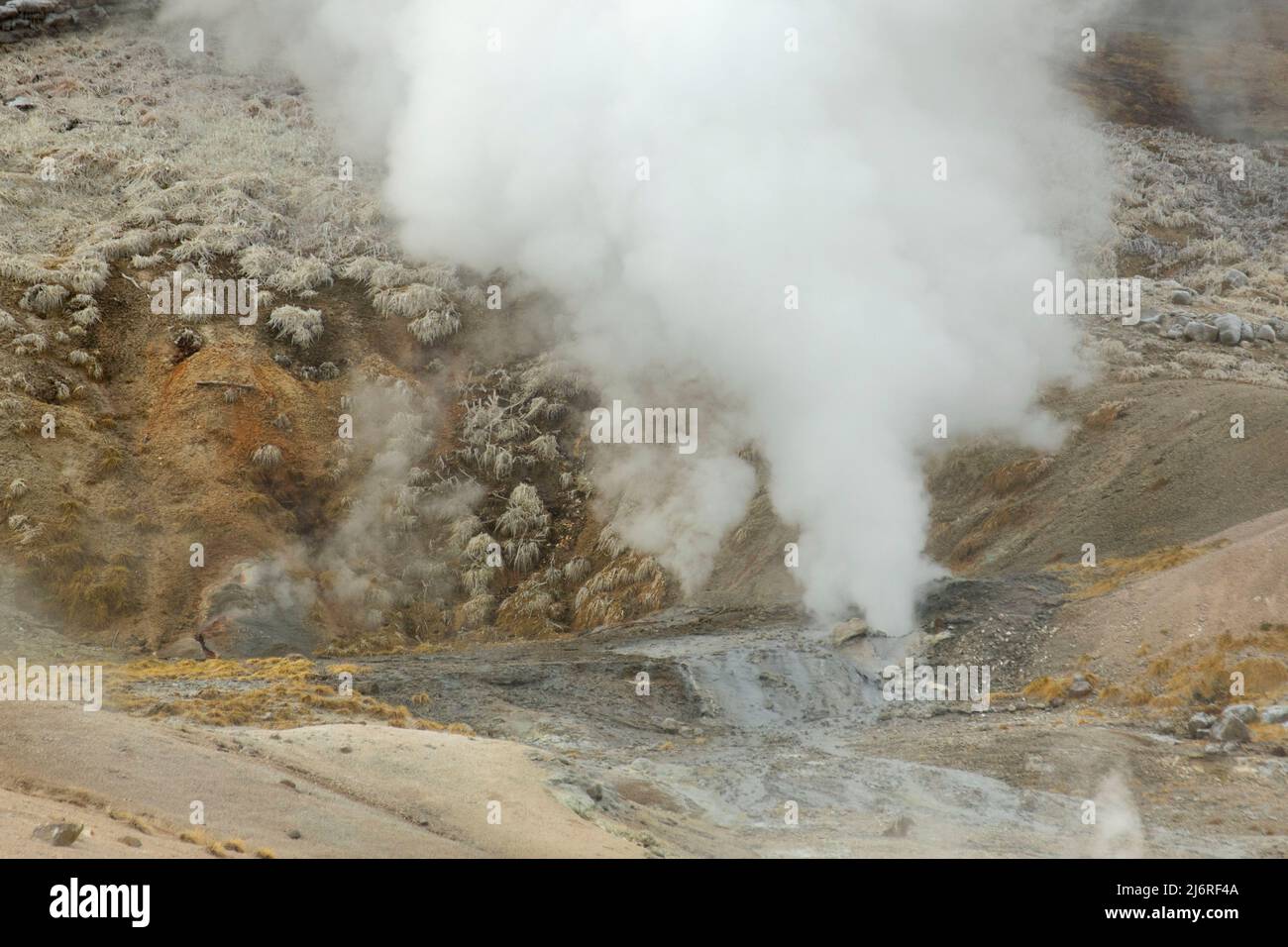 Black Growler Steam Vent at Norris Geyser Basin, Yellowstone National Park, Wyoming Stock Photo