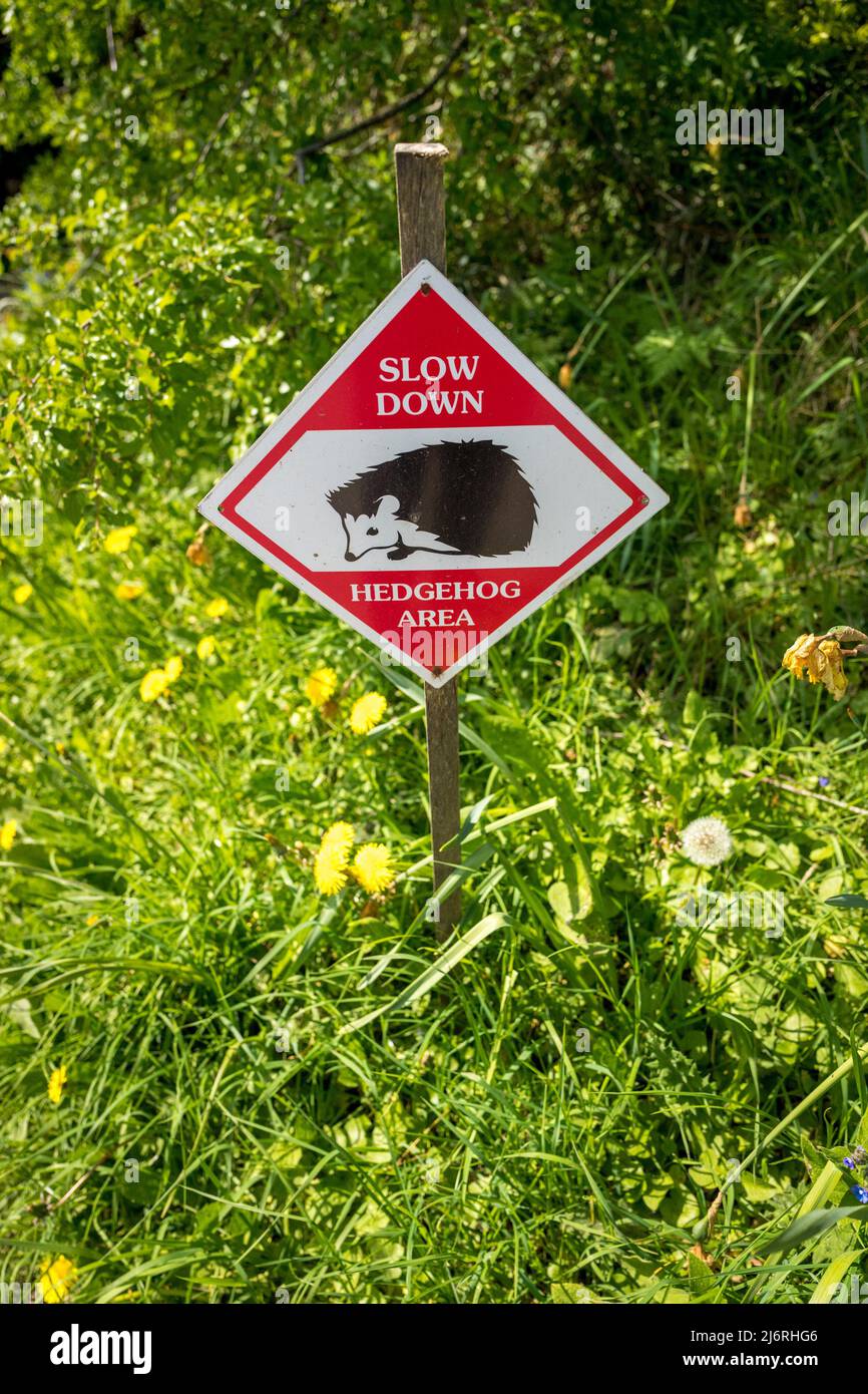 Must do sign informing moterist to slow down due to this being a hedgehog area. Stock Photo