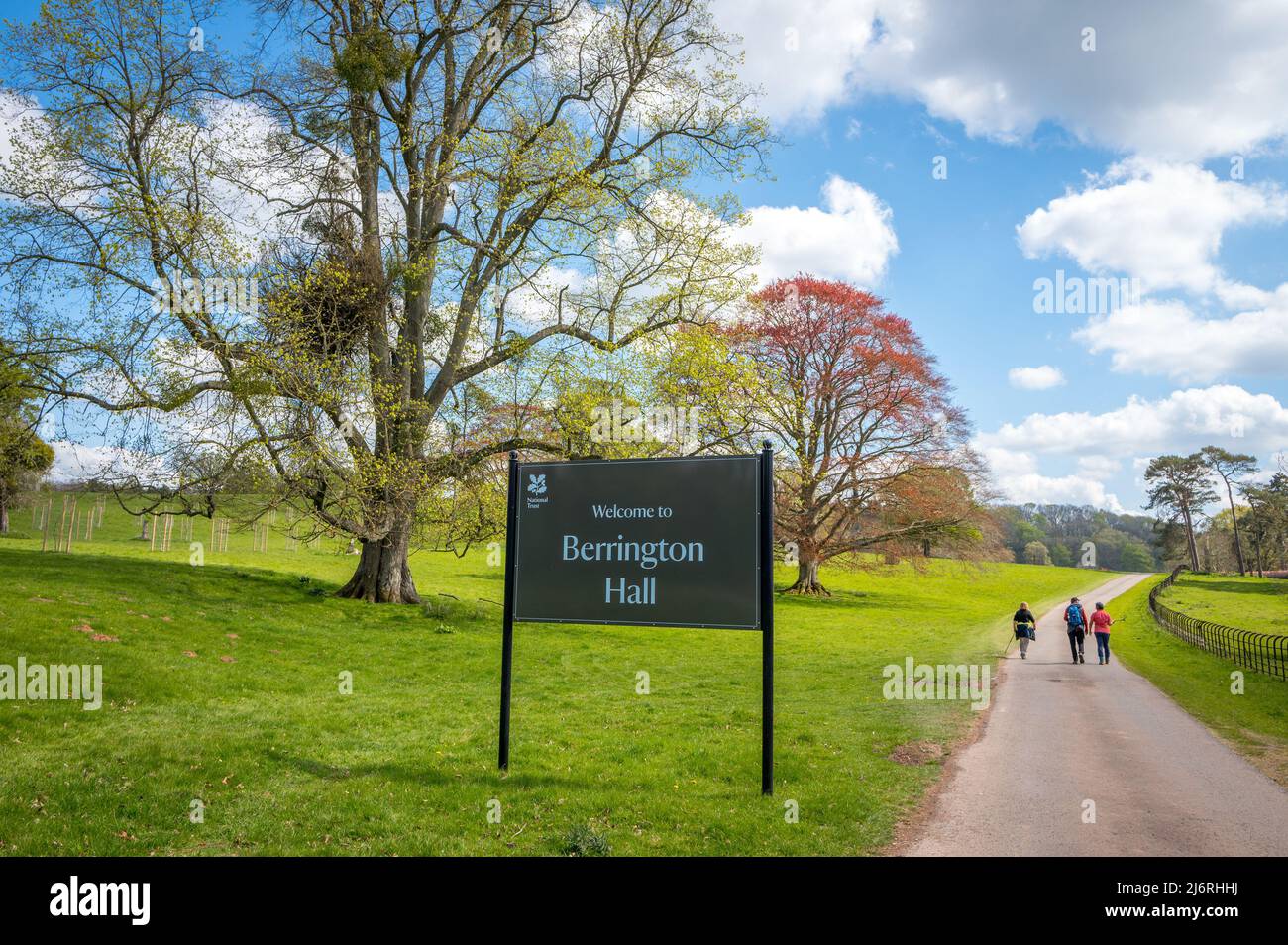 The main driveway to Berrington Hall, a national trust property, Herefordshire, England. Stock Photo