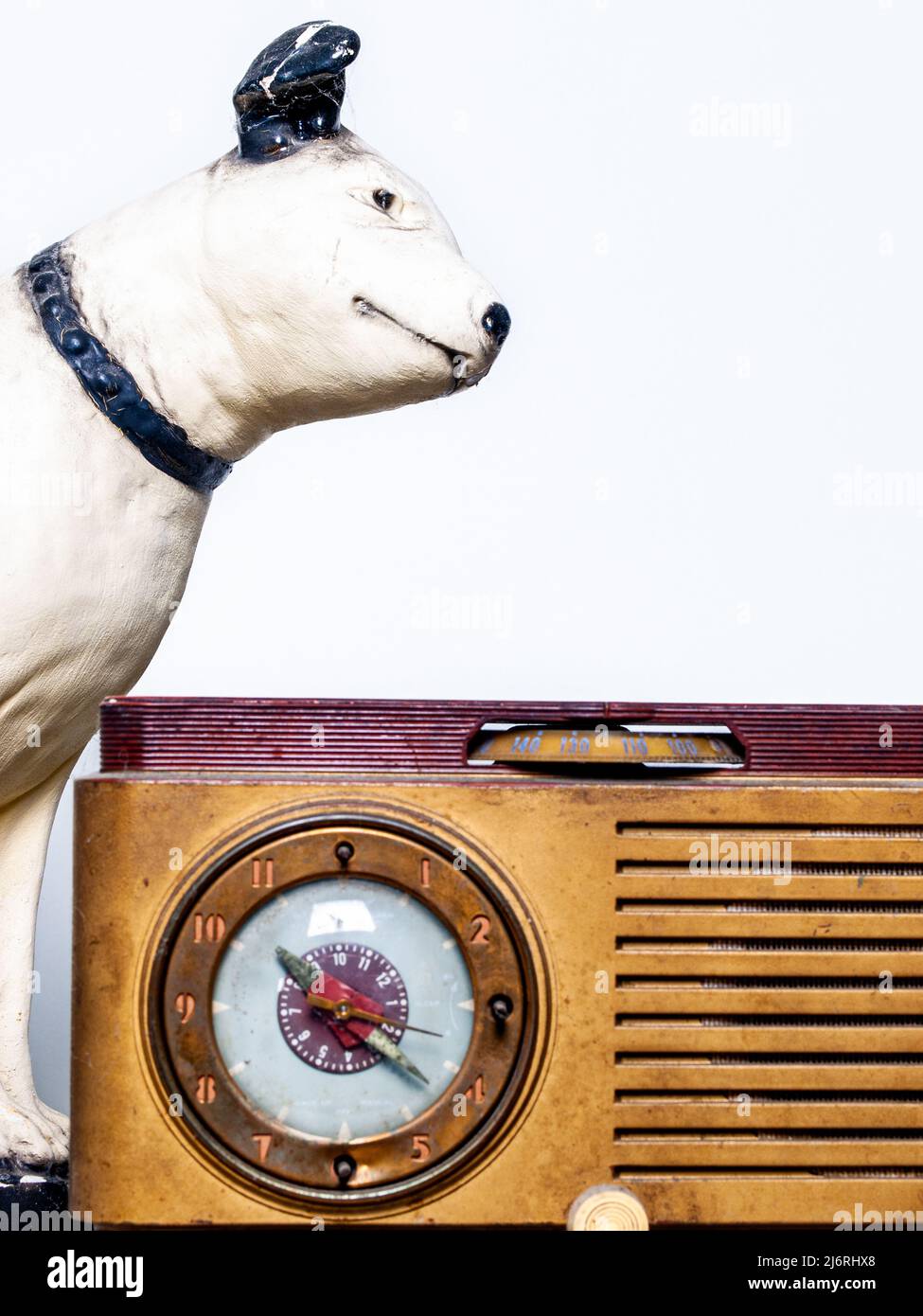 Rca dog best sale