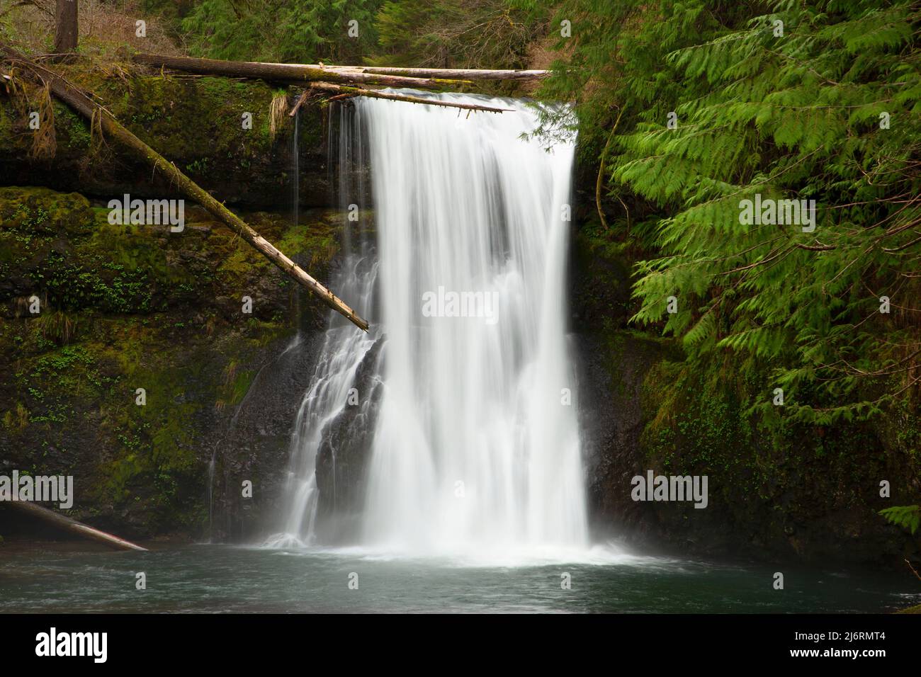 Upper North Falls on Trail of Ten Falls, Silver Falls State Park