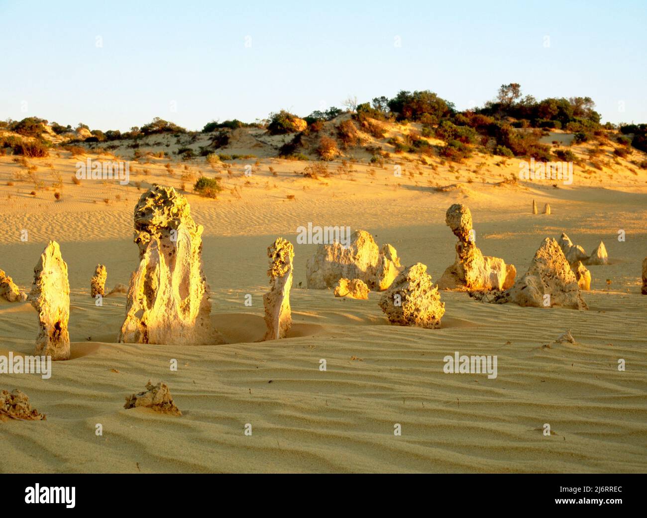 Pinnacle Sandstone Formations, Nambung National Park, Nambung,  Cervantes, Western Australia Stock Photo