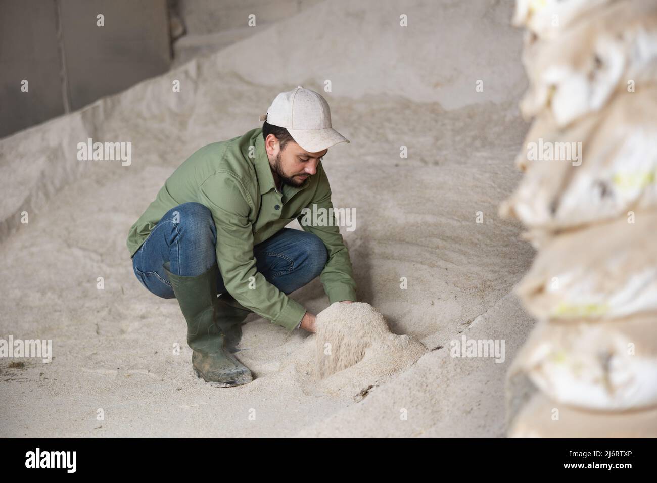 Farmer examining corn meal in warehouse of livestock farm Stock Photo