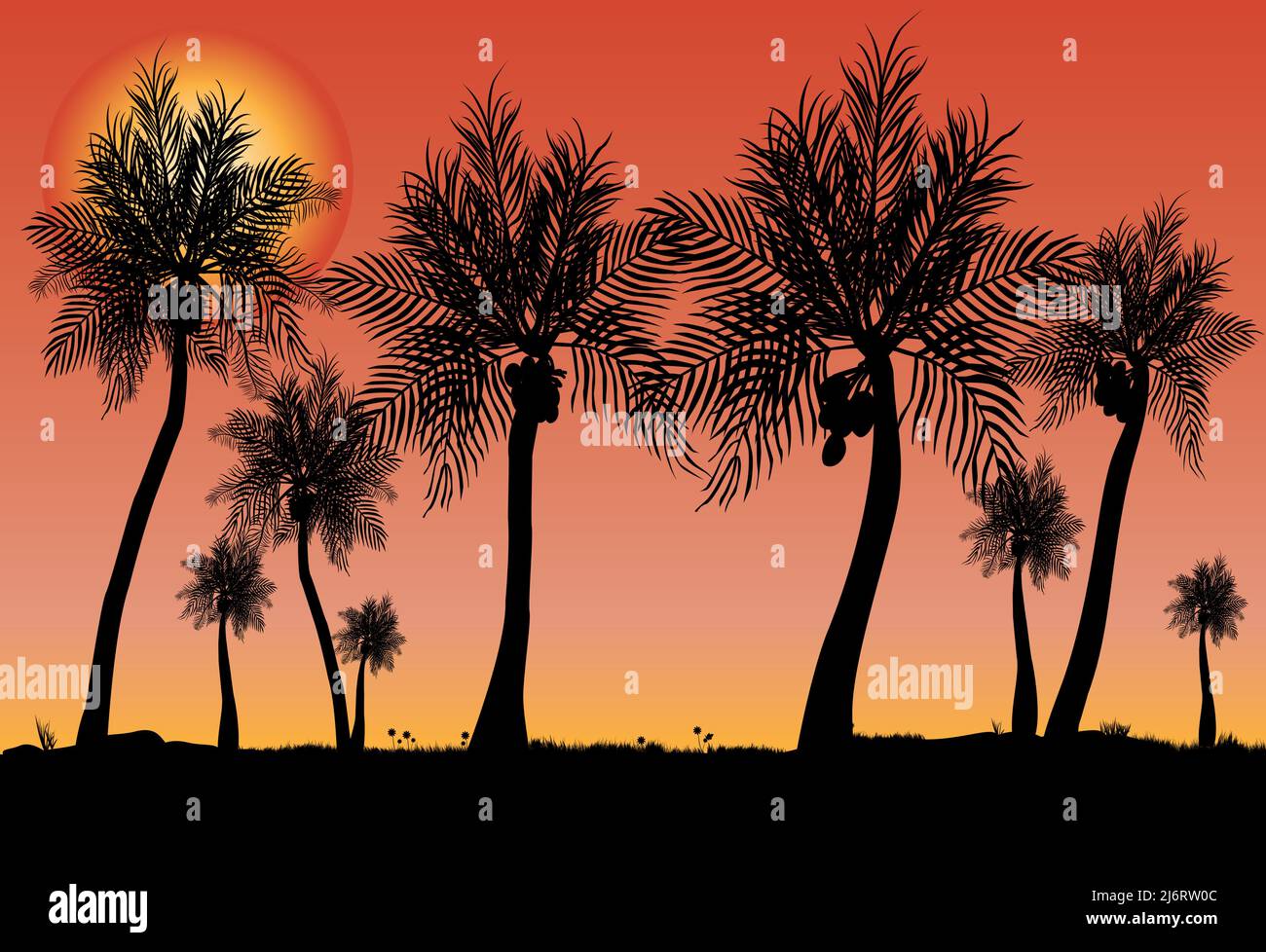 lots of coconut trees as a silhouette with sunset background Stock Vector