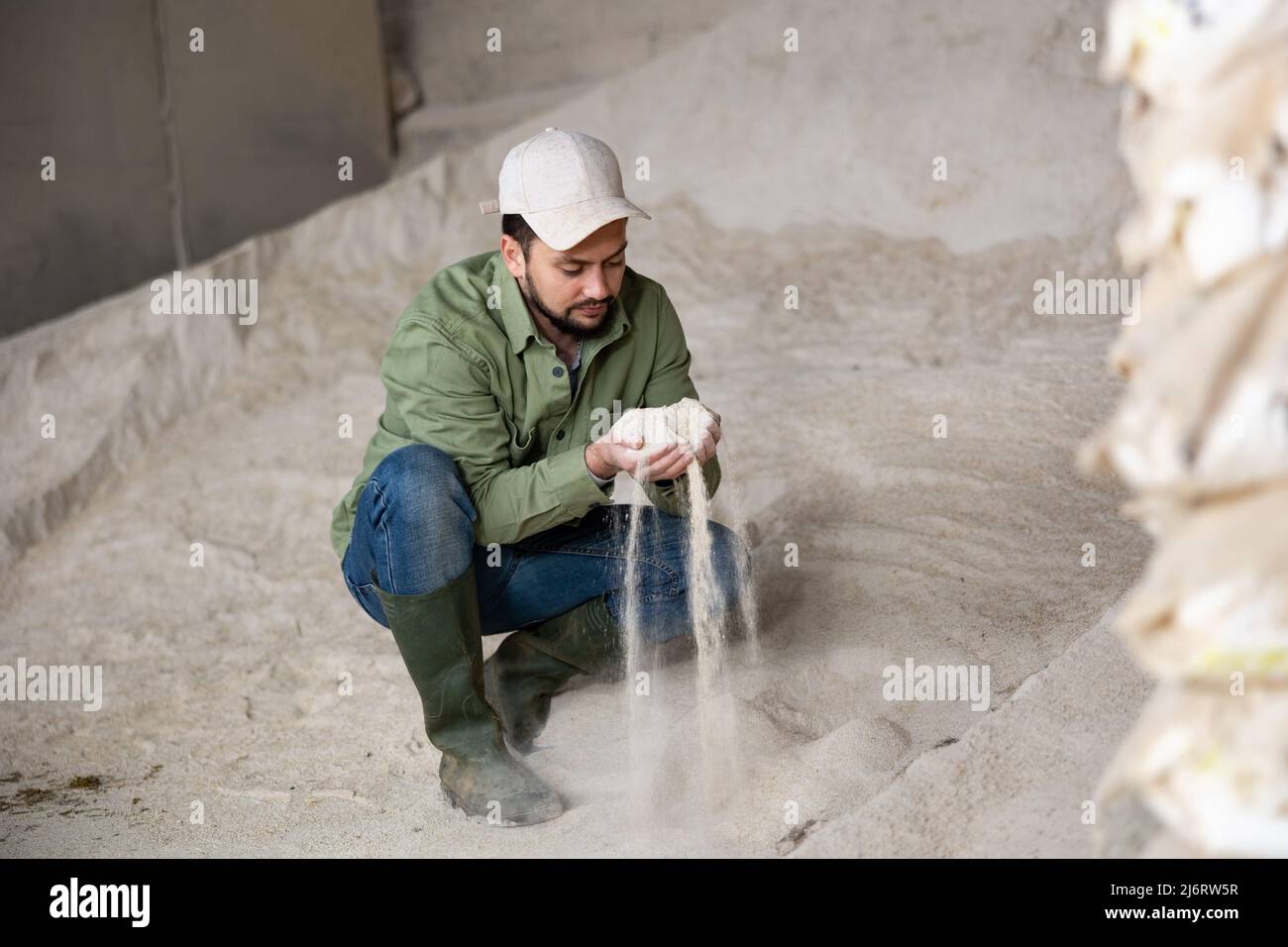 Farmer examining corn meal in warehouse of livestock farm Stock Photo