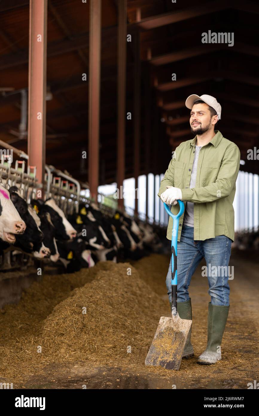 Young farmer standing with shovel near stall with cows Stock Photo - Alamy