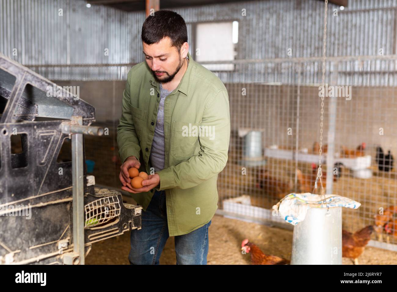 Man farmer collecting fresh eggs at henhouse Stock Photo Alamy