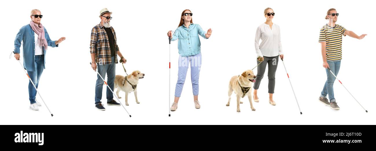 Different blind people with guide dogs and walking canes on white background Stock Photo