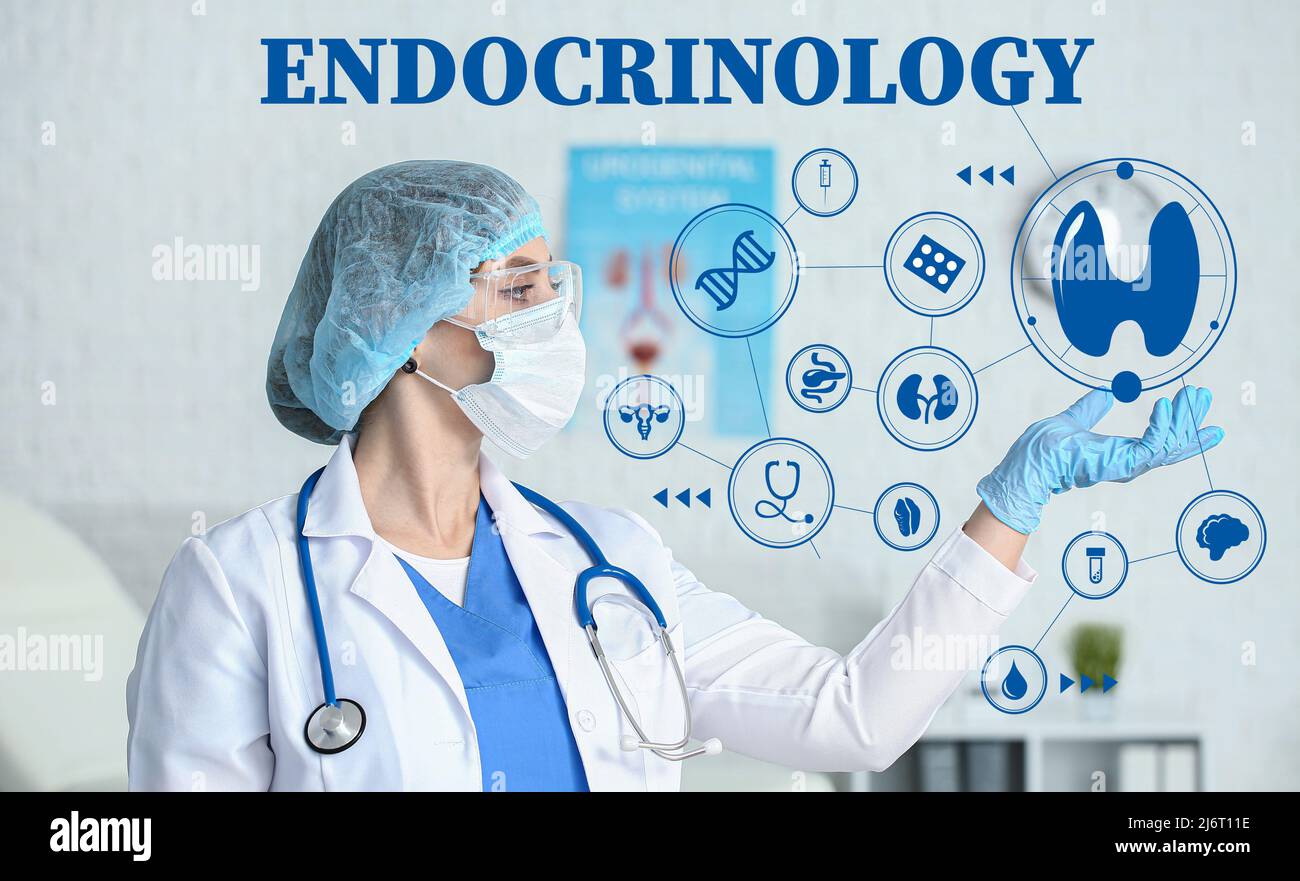 Female endocrinologist using virtual screen in clinic Stock Photo Alamy Female endocrinologist using virtual screen in clinic Stock Photo Alamy