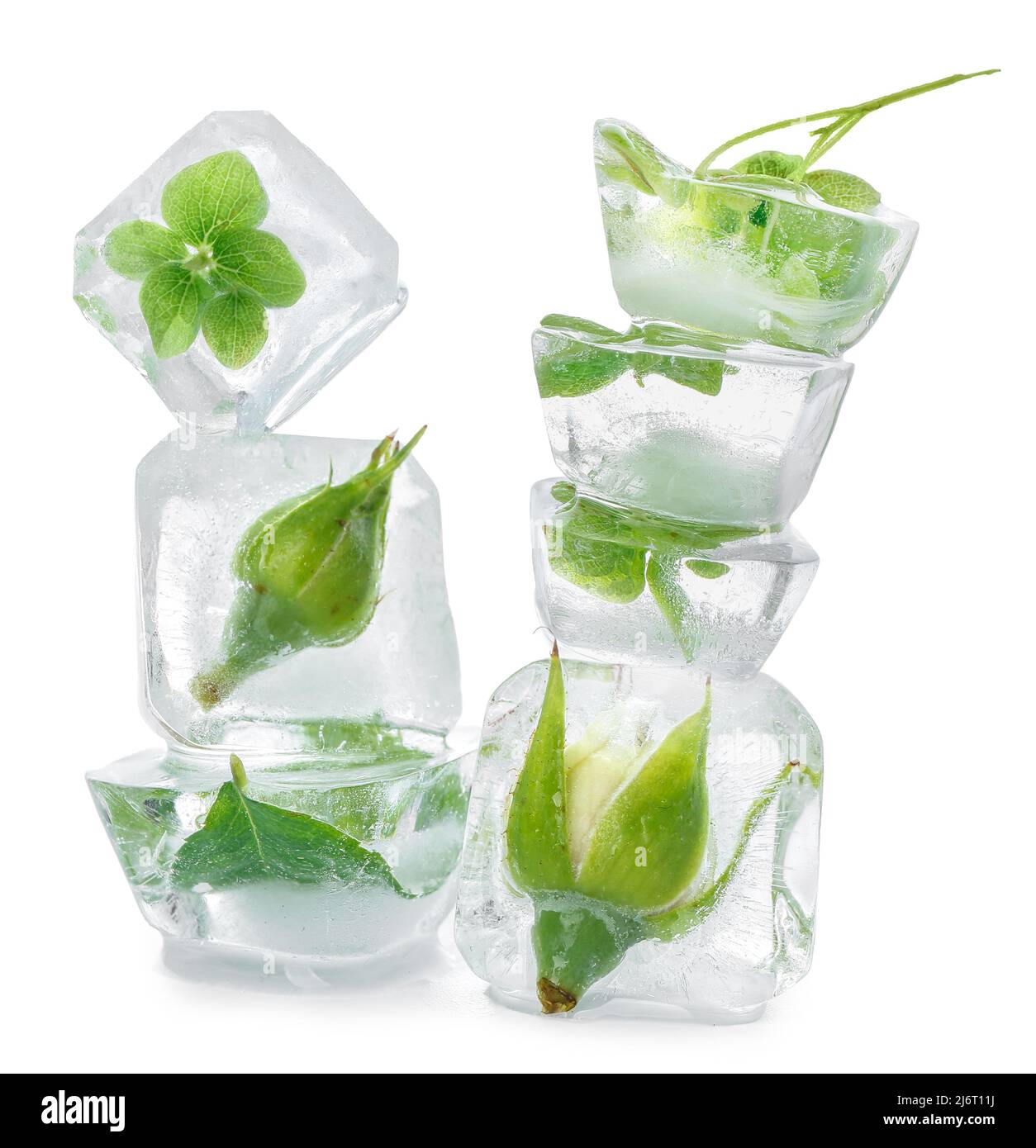Frozen flowers in ice cubes on white background Stock Photo Alamy