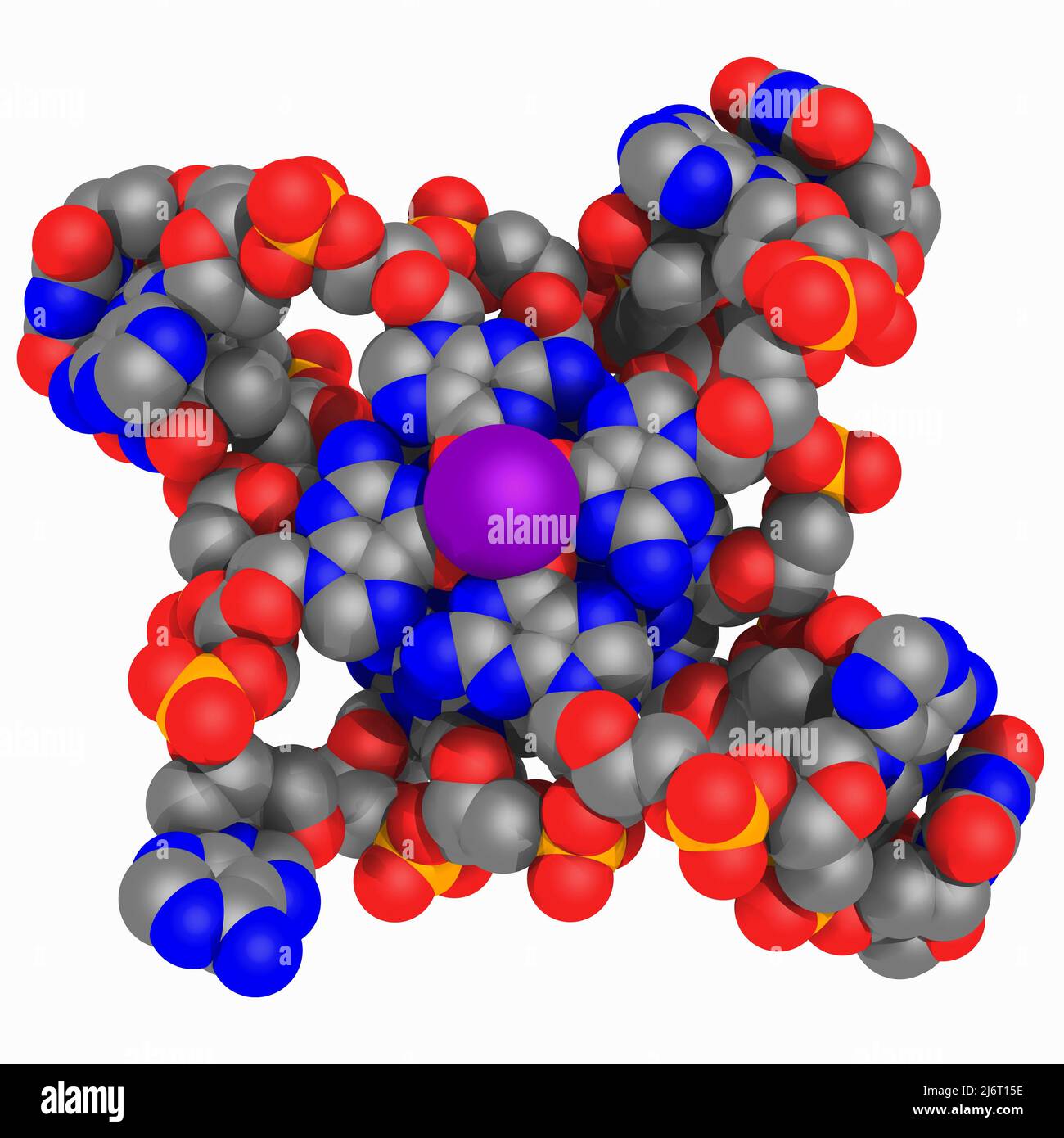 Human telomeric DNA, molecular model Stock Photo - Alamy