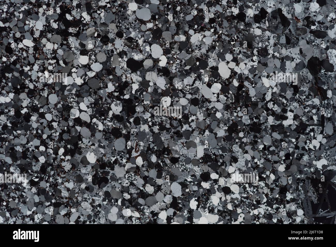 Bunter sandstone, light micrograph Stock Photo - Alamy