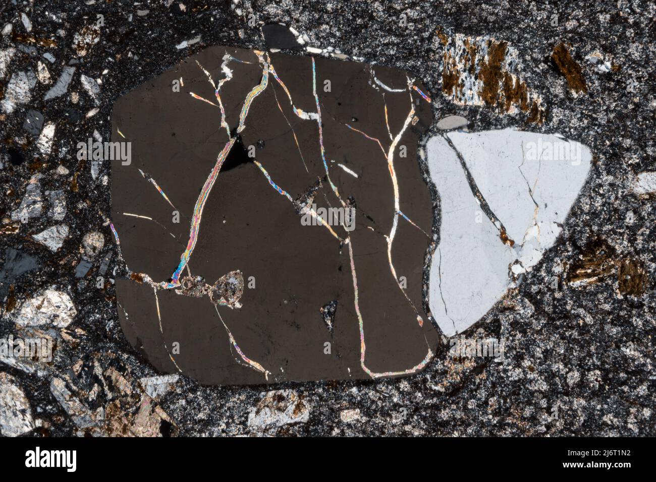 Rhyolite, light micrograph Stock Photo - Alamy