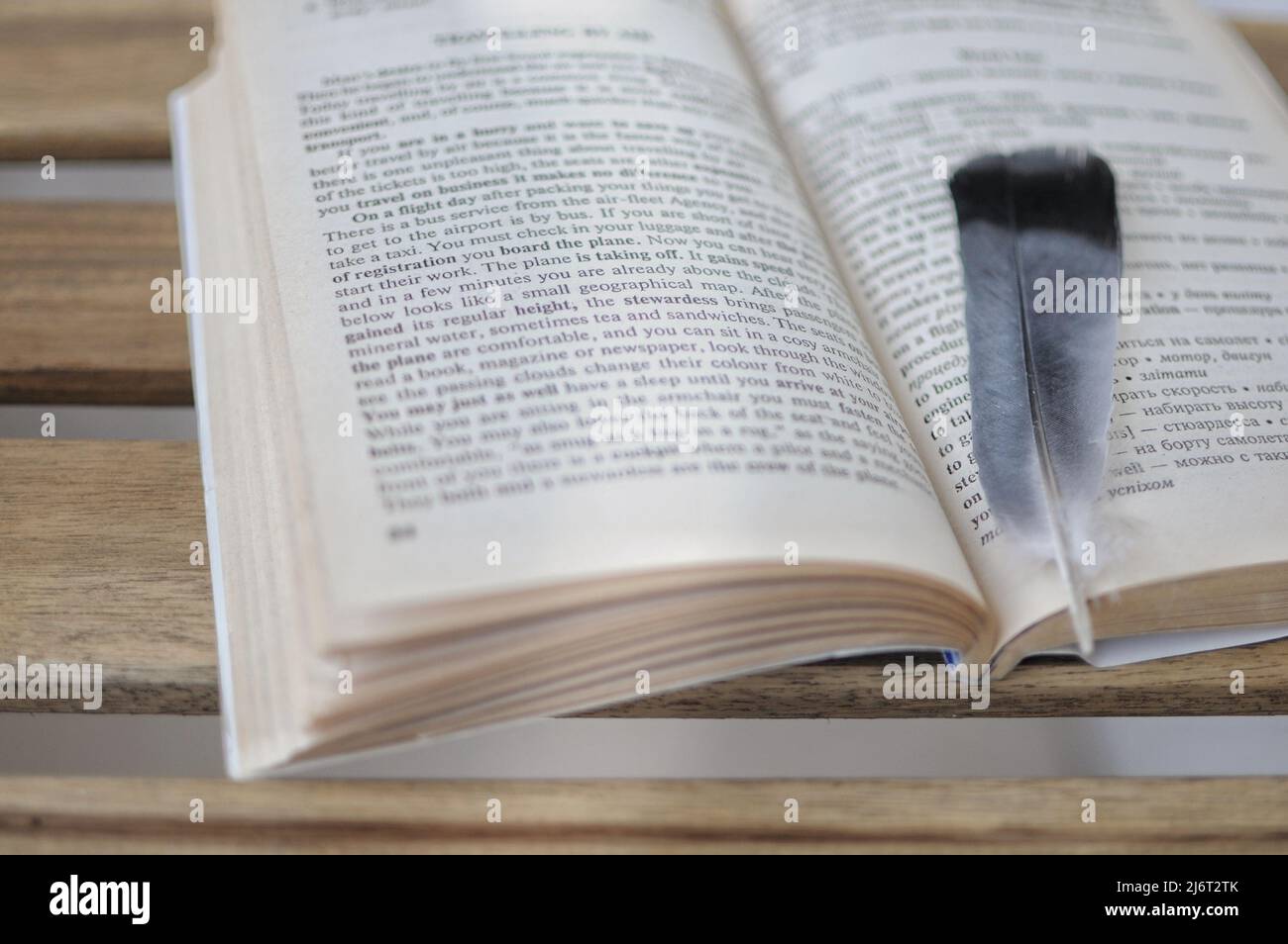 Bird pen lying on the book Stock Photo - Alamy