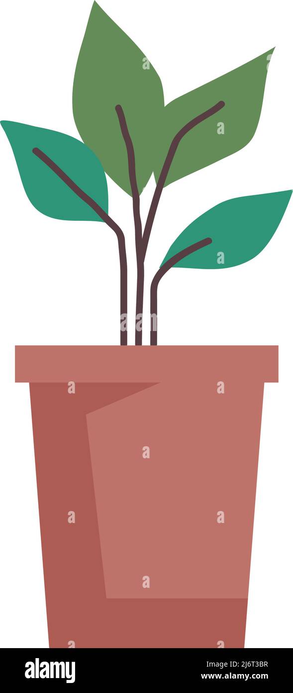 houseplant in ceramic pot Stock Vector Image & Art - Alamy