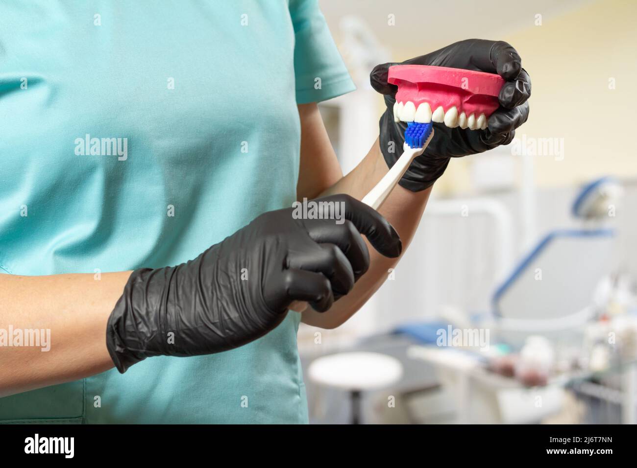 Close-up view of dentist's hands with a human jaw layout and a ...