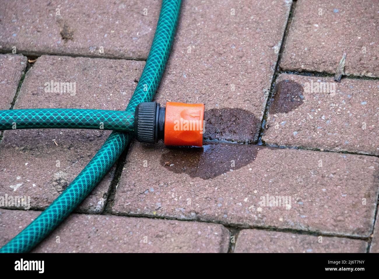 A garden hose leaks water onto a paved walkway Stock Photo Alamy