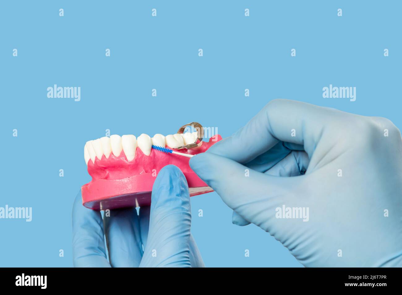 Close-up view of dentist's hands with a human jaw layout and a ...