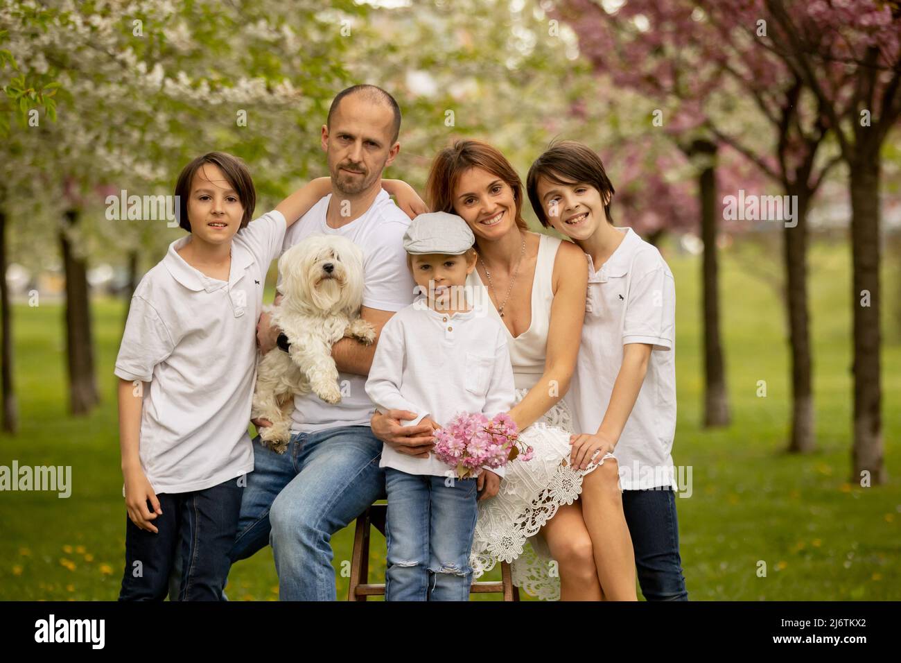Beautiful family with kids, mom, dad, three boys and a dog, playing in ...