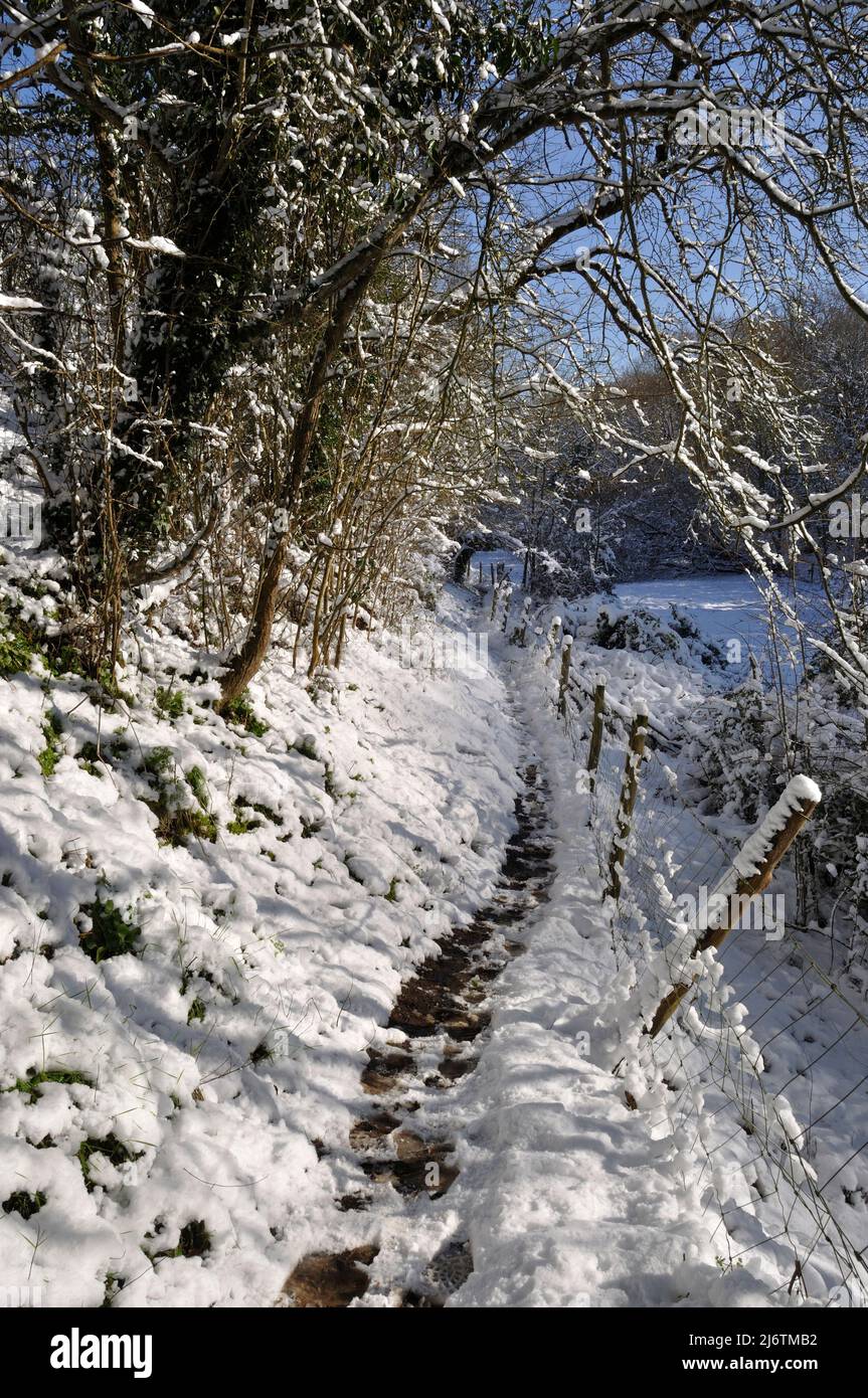 Path under the snow in Brittany Stock Photo Alamy