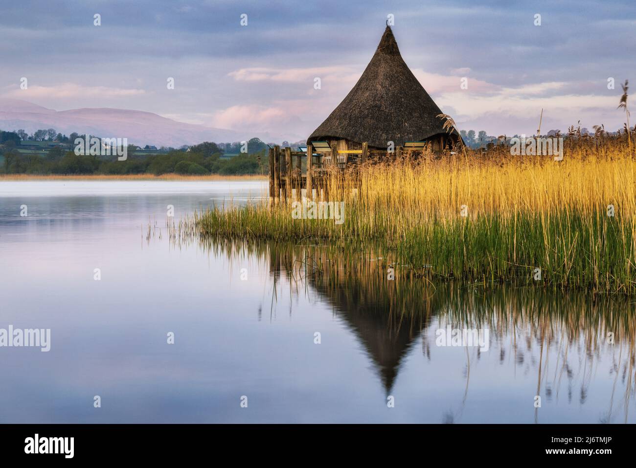 The Crannog at Llangorse Lake in the Brecon Beacons National Park, South Wales, captured just after sunrise. Stock Photo