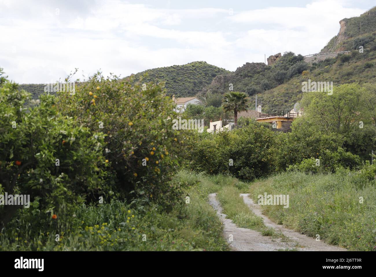 Landscape in the Almanzora Valley, Spain Stock Photo Alamy
