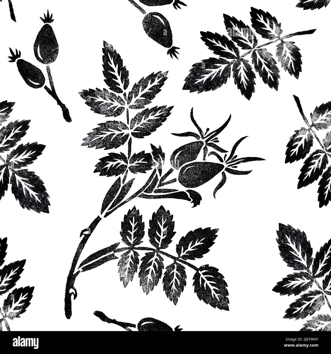 Rosa canina Seamless pattern. Rosehip fruit, leaves, branch. Hand drawn botanical illustration. Based on linocut Stock Photo