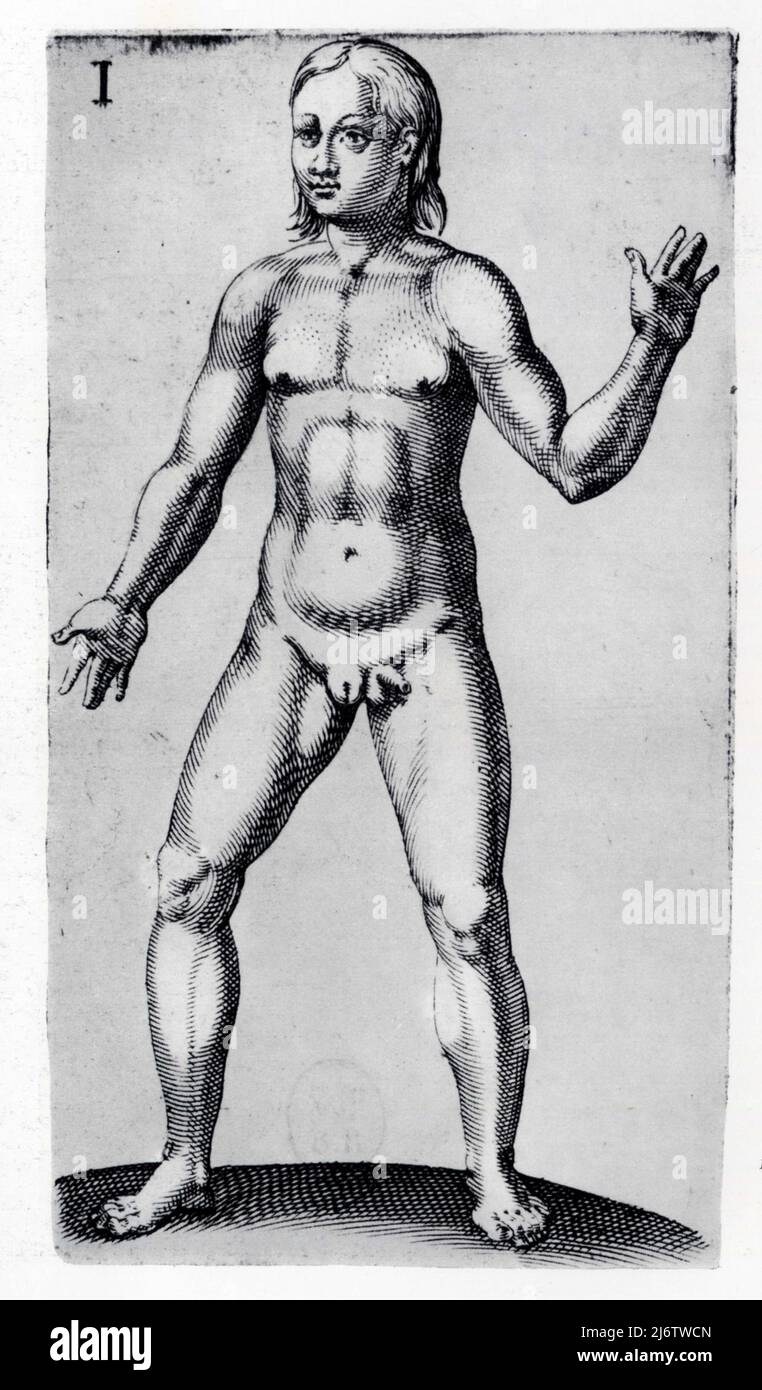 Bauhin. L'androgyne. Gravure. XVIe siècle. Stock Photo