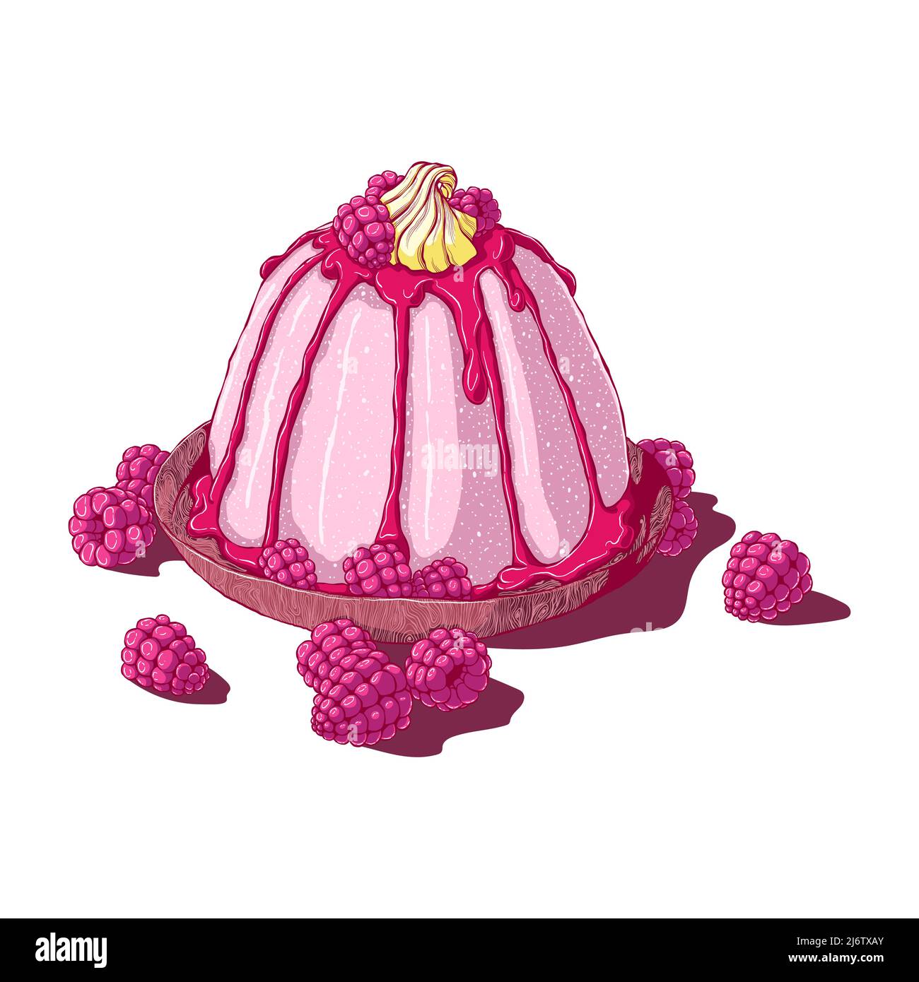 Panna cotta with raspberry. Hand drawn vector illustration in cartoon style. Isolated on white background. Italian dessert. Stock Vector