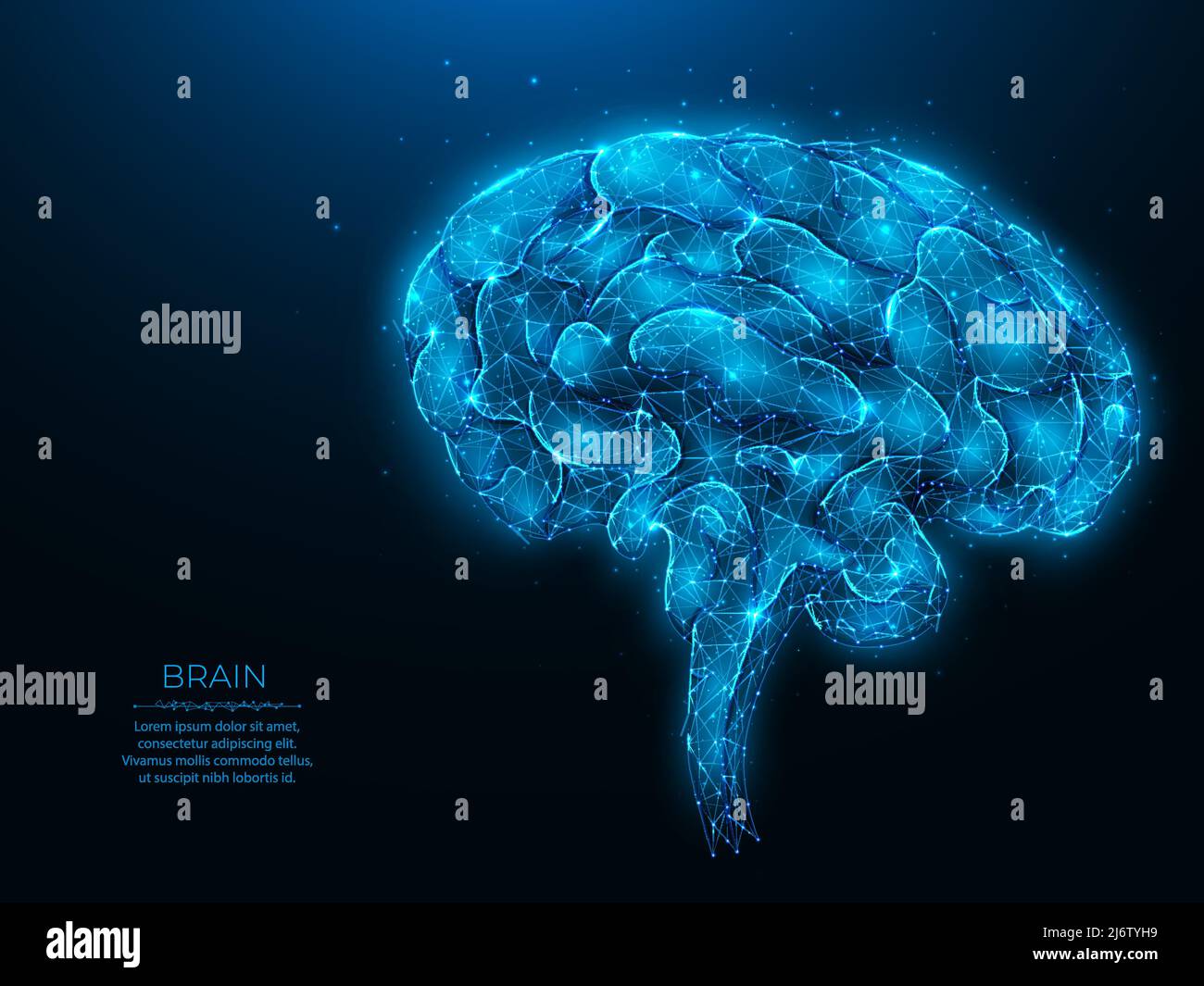 Polygonal human brain vector illustration on dark blue background. The ...