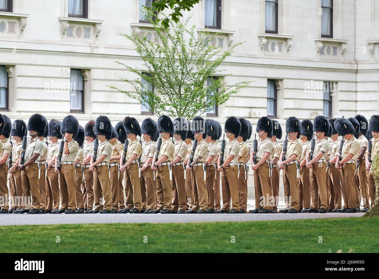 The queen's guards, in their bearskin hats and with their guns, prepare