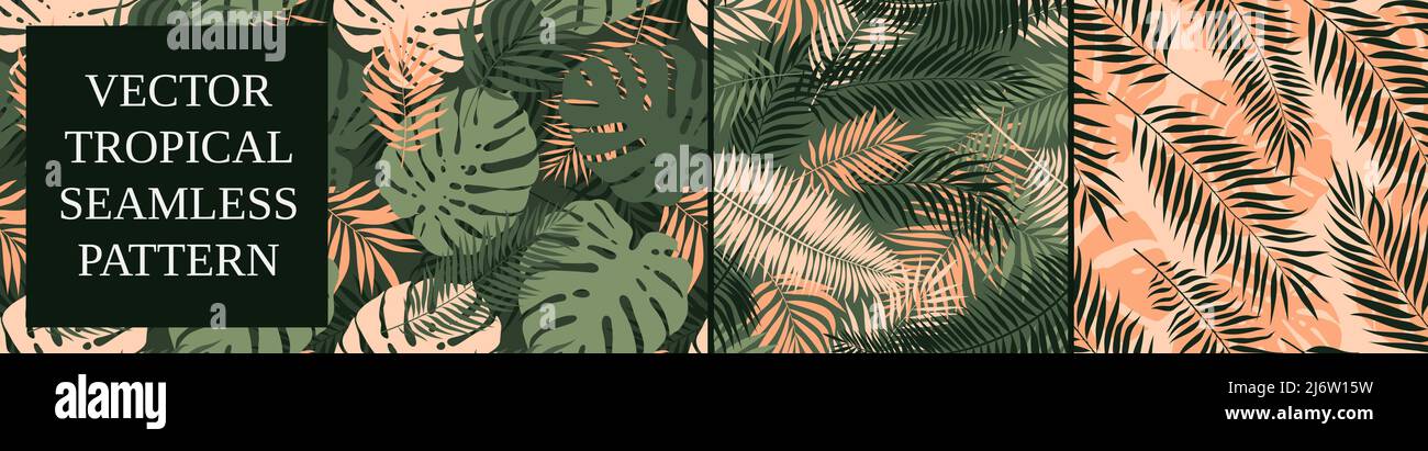 Set of seamless patterns with exotic green monstera leaves and palm branches, summer tropical vector backgrounds Stock Vector