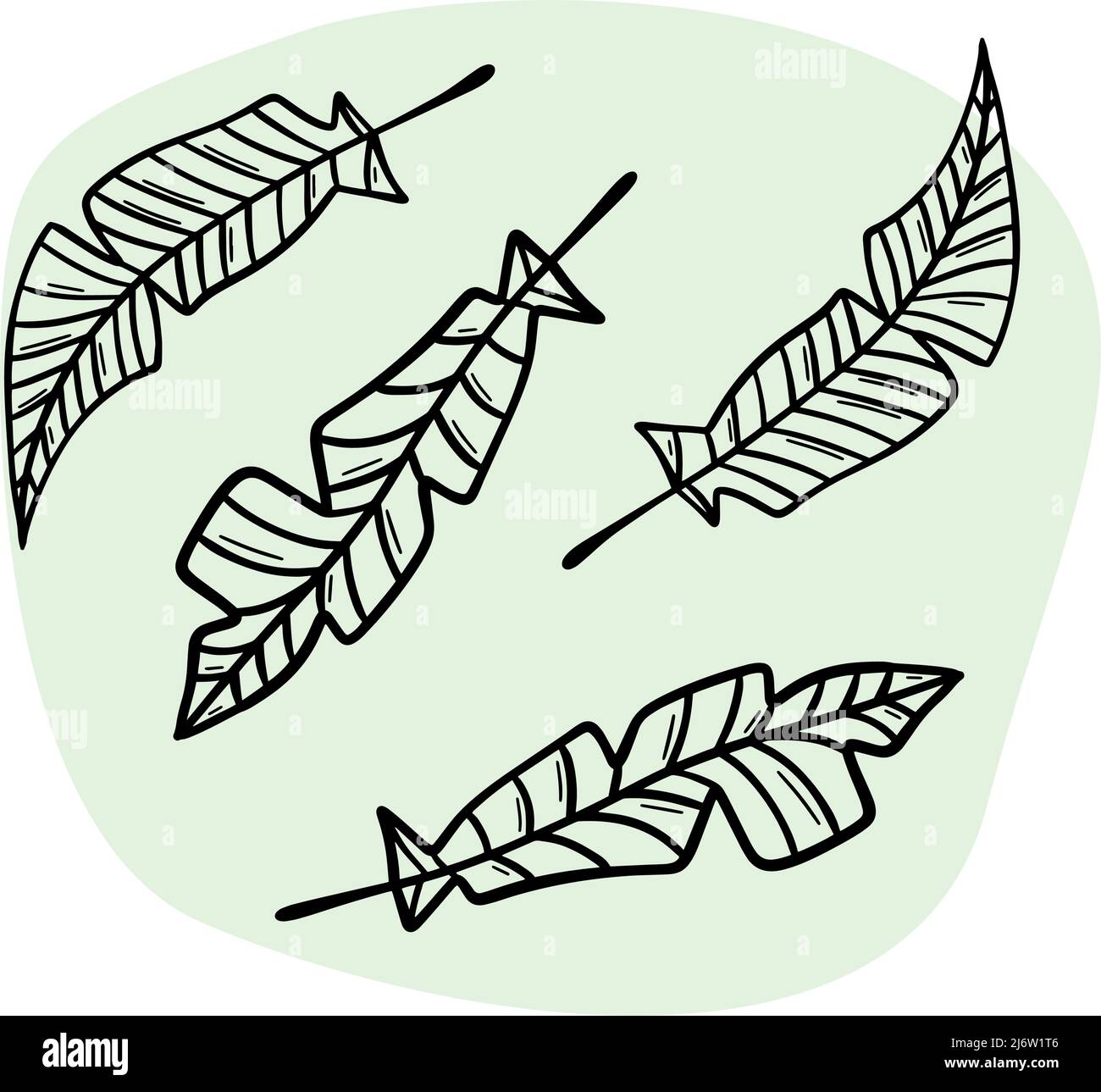 Leaves black ink outline in doodle style Stock Vector Image & Art Alamy