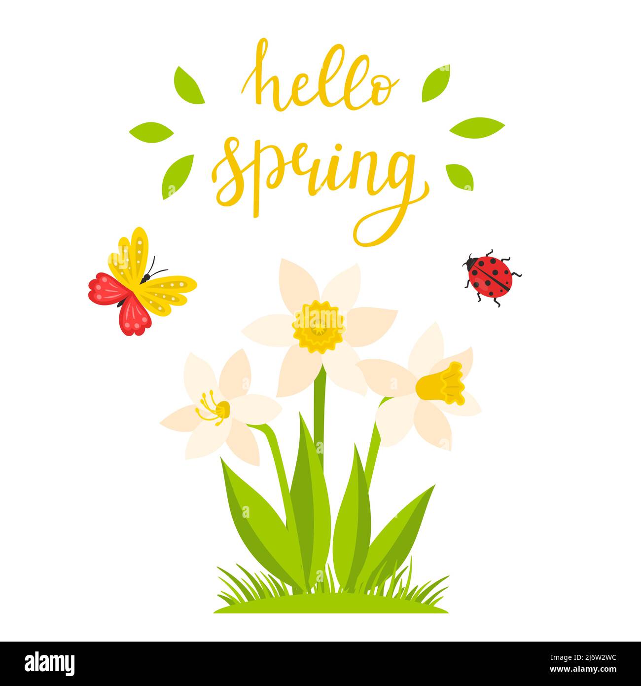 A daffodil bush and a calligraphic inscription-Hello spring. Hand lettering. The concept of a spring, summer wing with a botanical illustration in a c Stock Vector