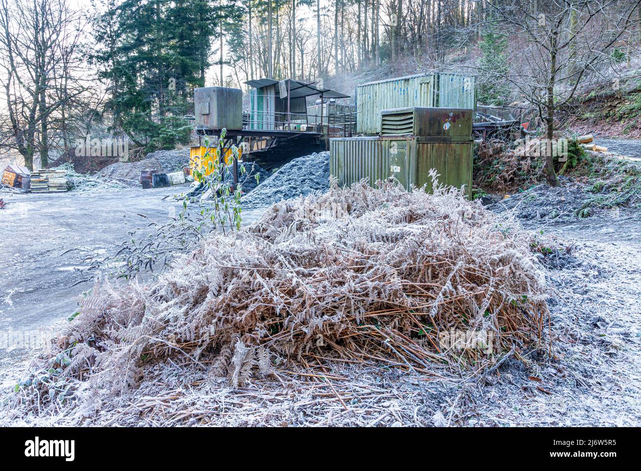 Winter in the Forest of Dean - Frost at Monument Pit, a freeminer coal mine at Bixslade, Gloucestershire, England UK Stock Photo