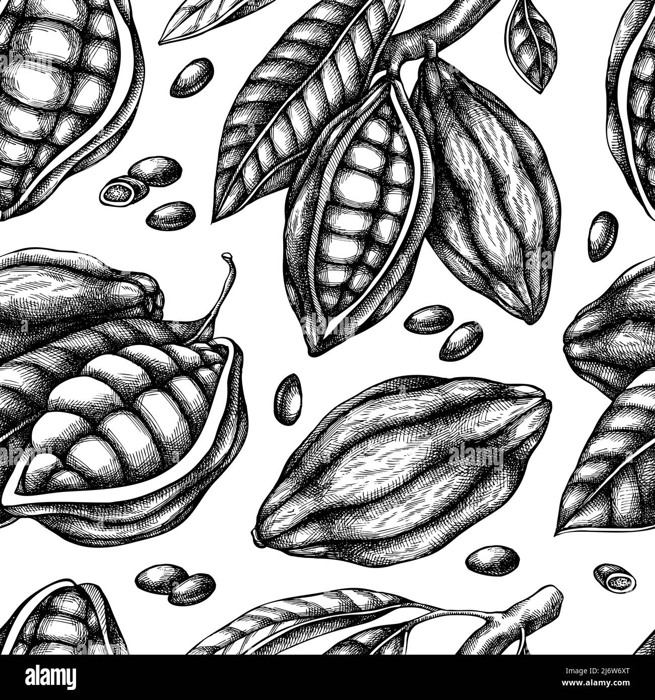 58 725 Cacao fruit Bilder, stockbilder, 3D-föremål och vektorer