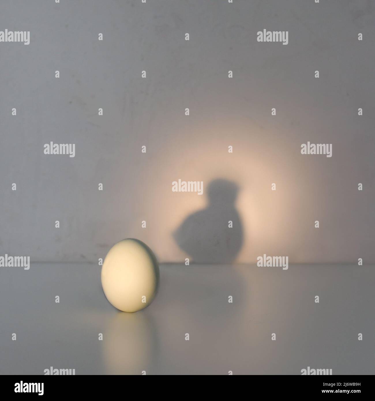 Card bird shadow hi-res stock photography and images - Alamy