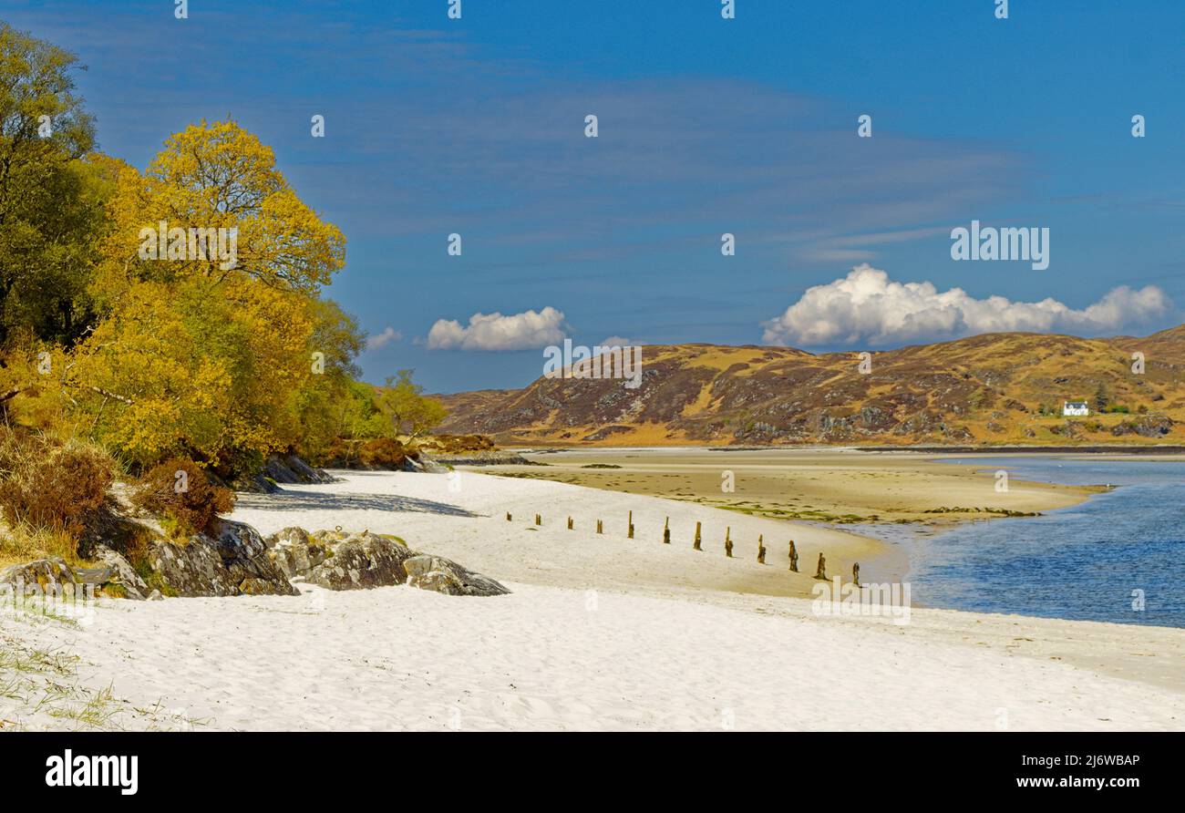 MORAR SCOTLAND THE WHITE SAND BEACH OF CAMUSDARACH RIVER MORAR AND TREES IN LEAF IN SPRING Stock Photo
