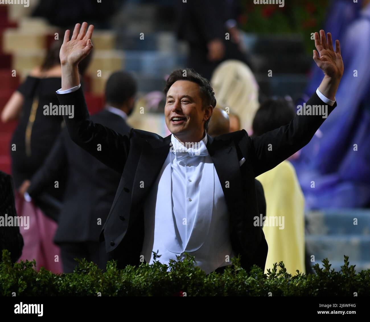 Elon Musk Stock Photo