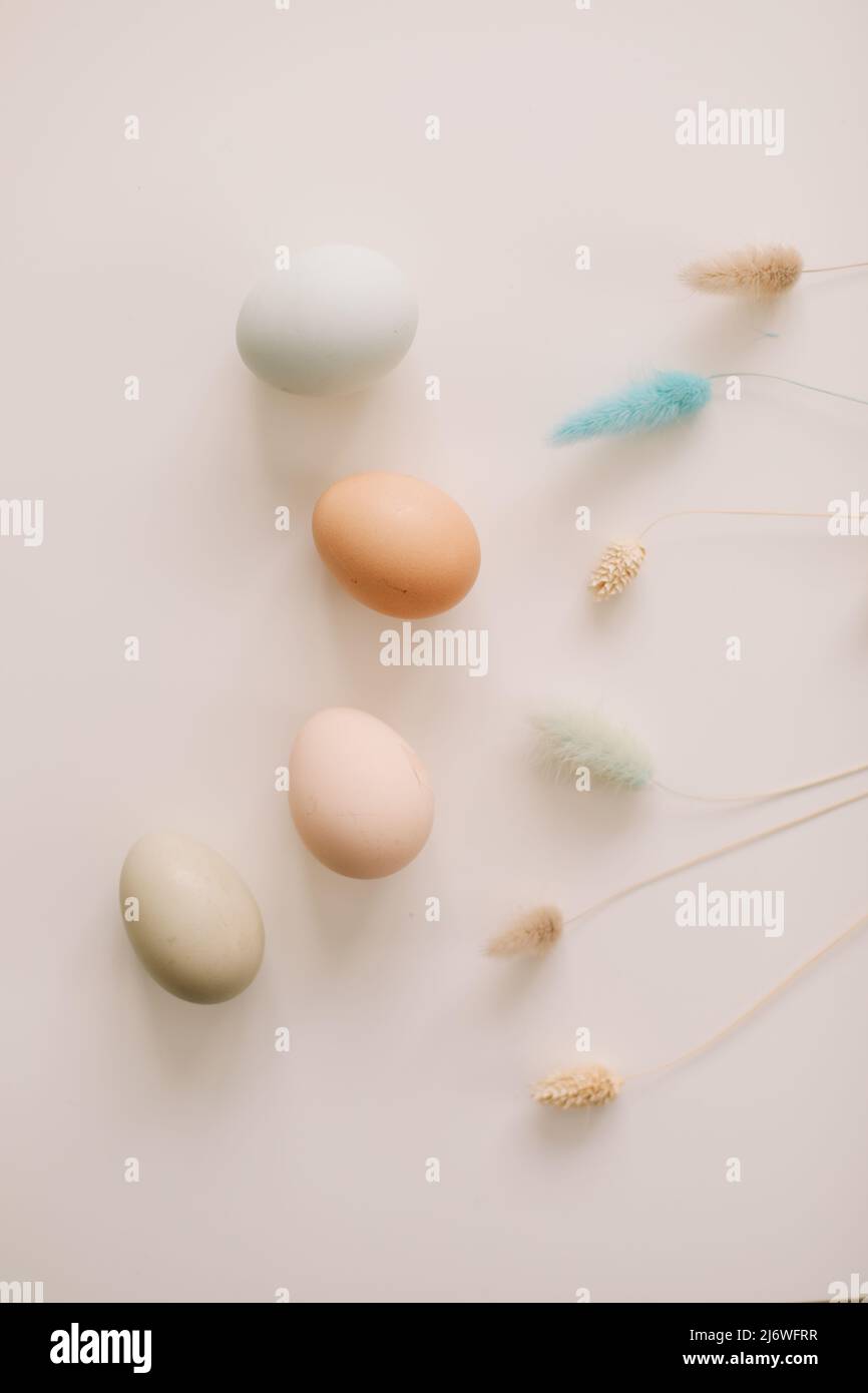 Sel symbol hi-res stock photography and images - Alamy