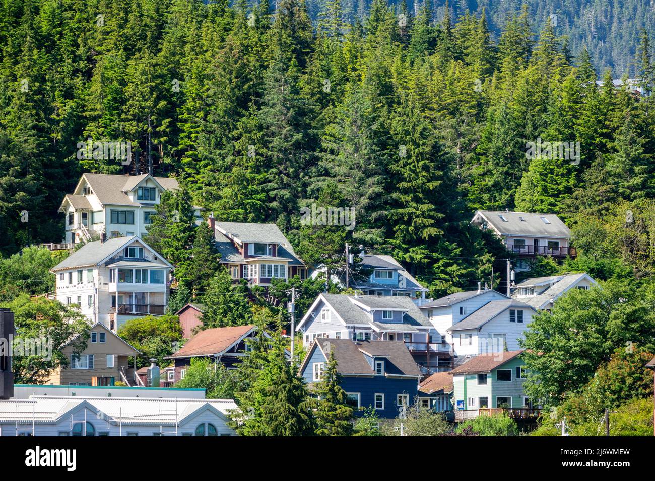 Residential Houses On A Hill With Pine Trees Above Ketchikan City In Alaska Stock Photo