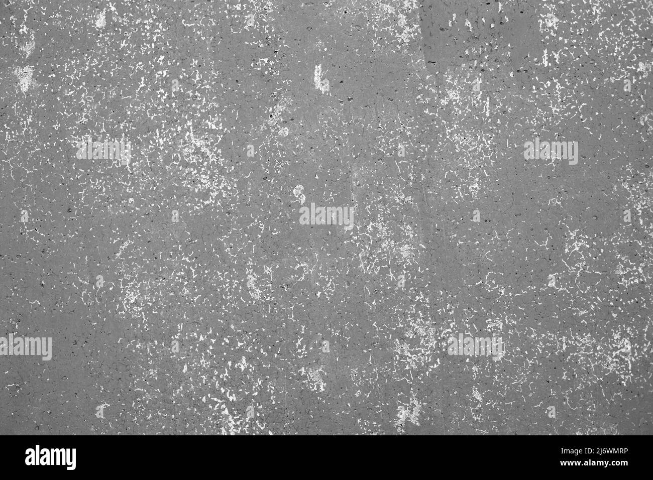 Gray concrete background with natural texture. Abstract empty surface for back. Stock Photo