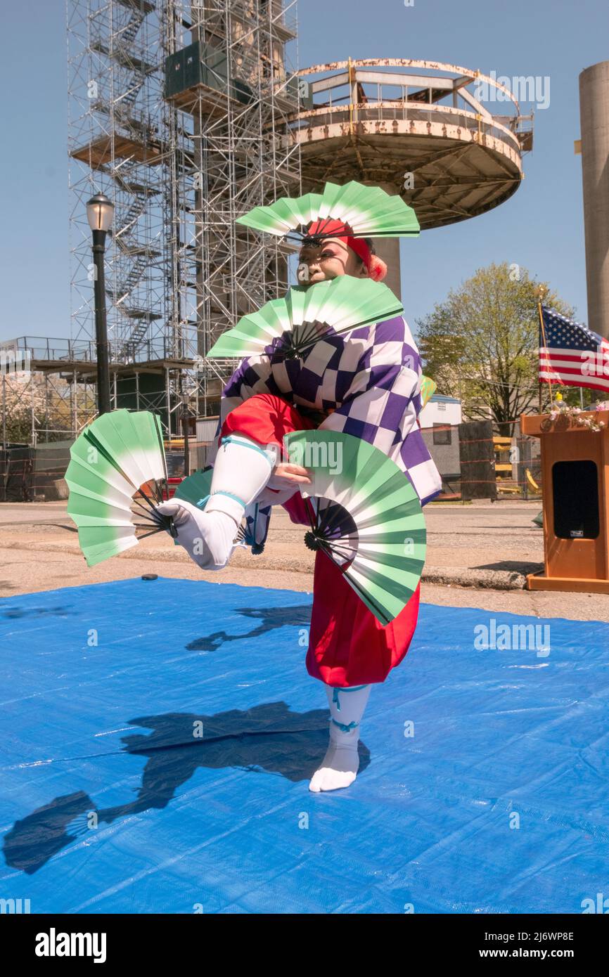 A member of the Japanese Folk Dance institute does a dance holding 5 fans at the Sakura Matsuri celebration. In Queens, New York. Stock Photo